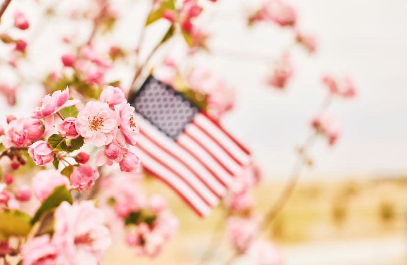 memorial day quotes are a way to say "thank you"