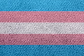 Transseksualų vėliavos iliustracija