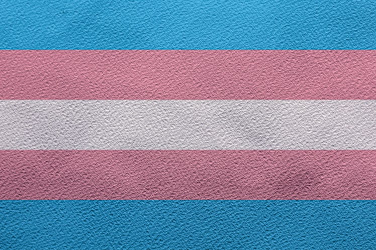 Illustration of Transgender flag