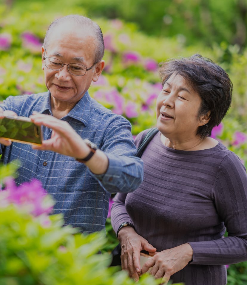 A senior married couple is spending time together in nature. They both stopped by flowers and taking...