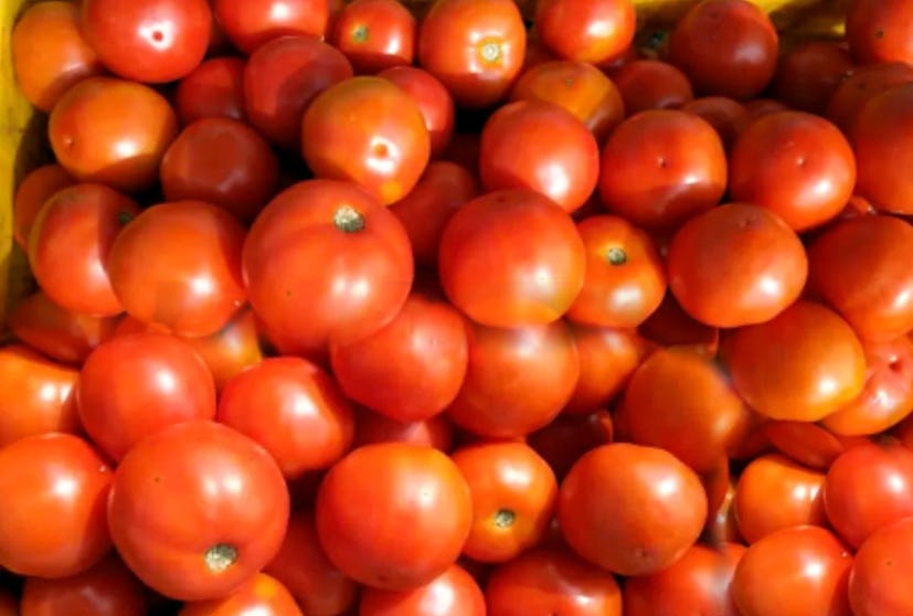 Tomatoes for healthy living.