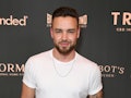 Liam Payne's rumored GF Aliana Malwa puts cheating claims to rest after Maya Henry's Instagram comme...