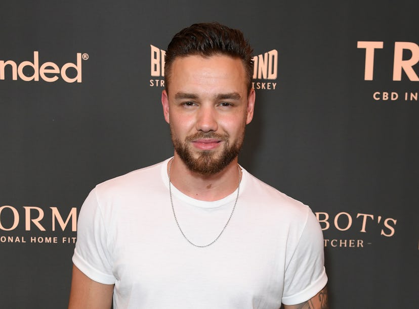 Liam Payne's rumored GF Aliana Malwa puts cheating claims to rest after Maya Henry's Instagram comme...