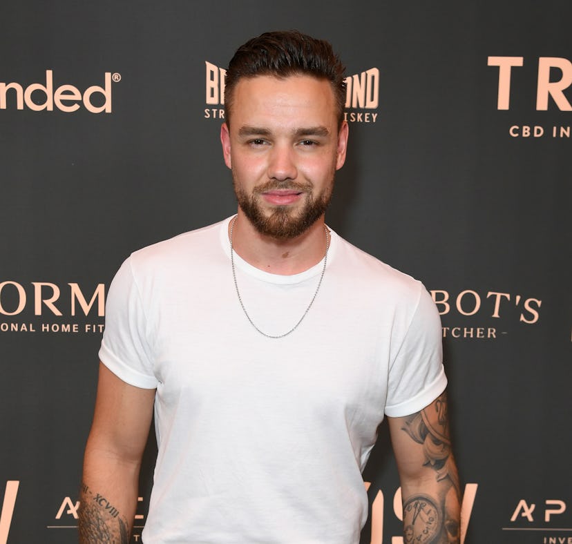 Liam Payne's rumored GF Aliana Malwa puts cheating claims to rest after Maya Henry's Instagram comme...