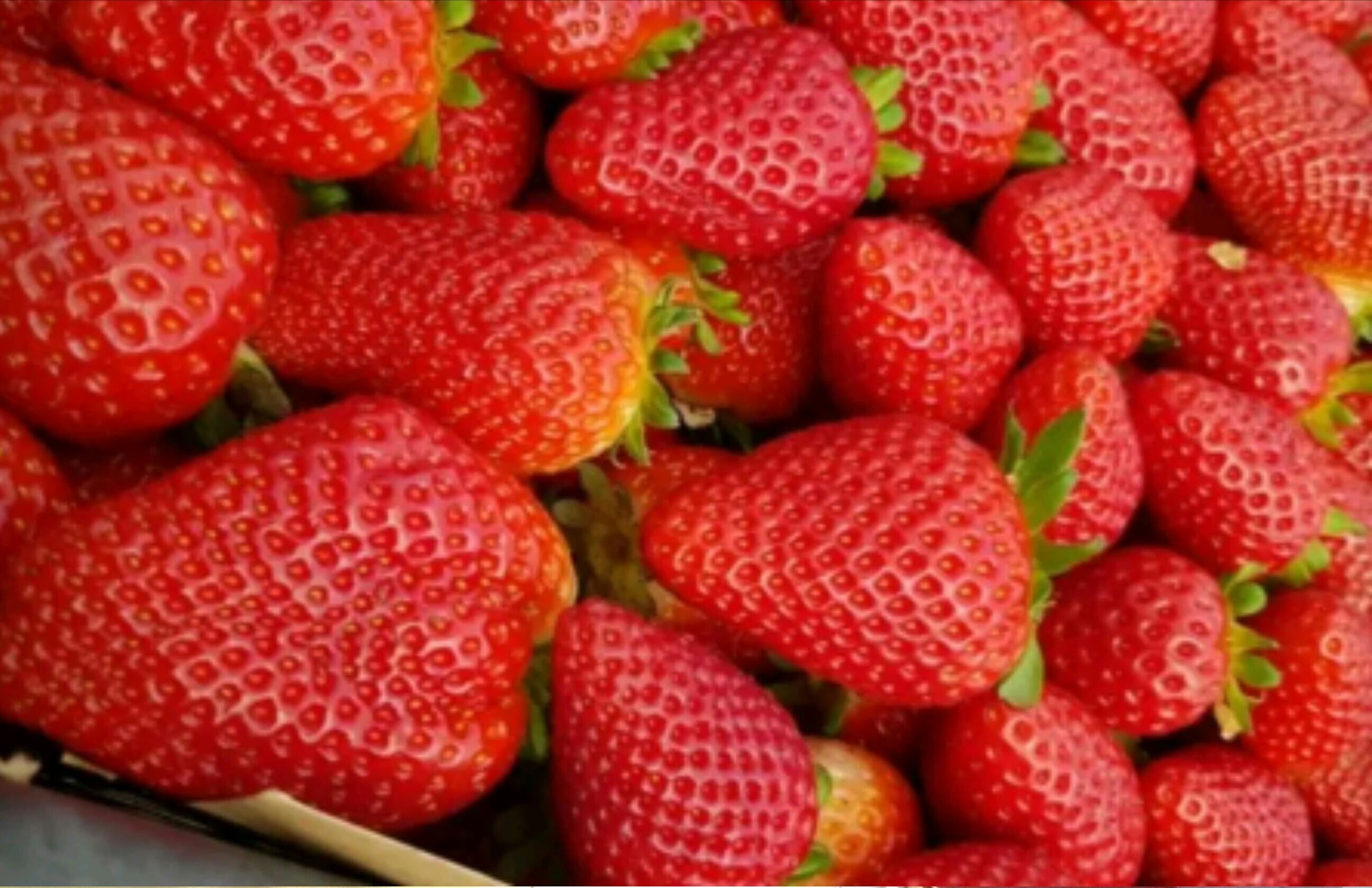 USA: If You Bought Strawberries, You Need To Know About Hep-A Outbreak