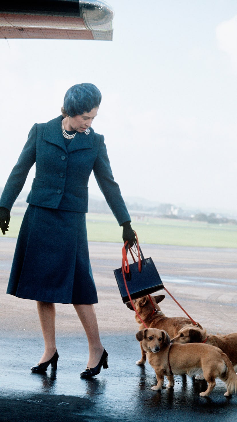 ABERDEEN;SCOTLAND - 1974: Queen Elizabeth ll arrives at Aberdeen Airport with her corgis to start he...