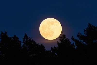 16 April 2022, Saxony-Anhalt, Kathendorf: The full moon rises behind a forest in the early evening. ...