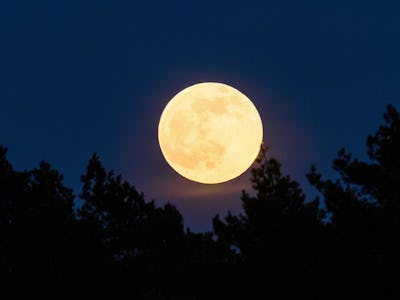 16 April 2022, Saxony-Anhalt, Kathendorf: The full moon rises behind a forest in the early evening. ...