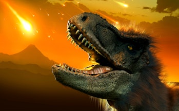 The art of a Tyrannosaurus as an asteroid is about to hit Earth.  Tyrannosaurus was one of the...