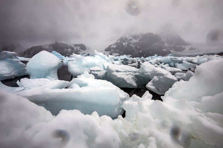 ANTARCTICA - FEBRUARY 27: A view of ice floes is pictured by photojournalist Sebnem Coskun off of th...