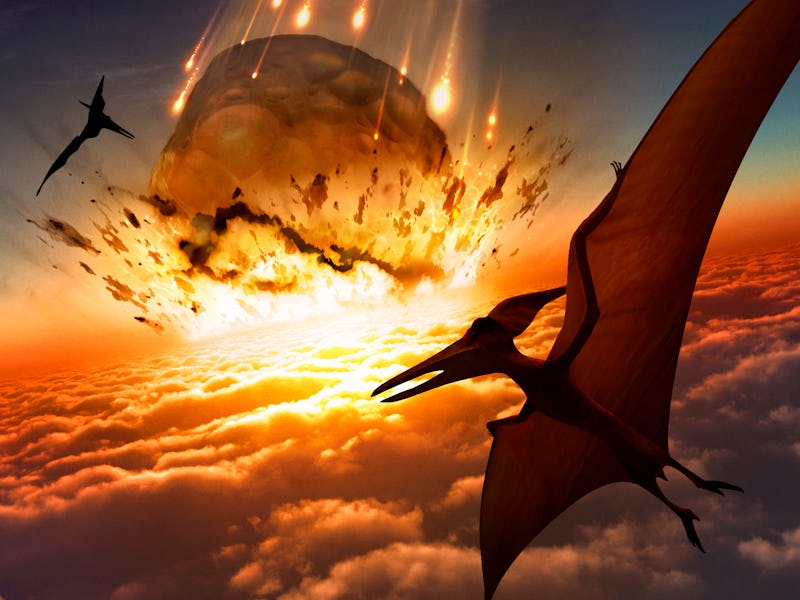Illustration of Pteranodon sp. flying reptiles watching a massive asteroid approaching Earth's surfa...