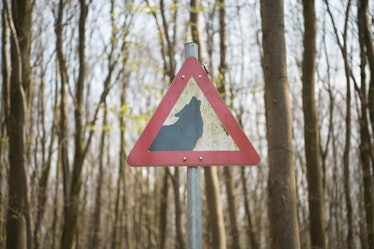 warning sign with a howling wolf