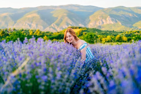 Beautiful young woman smelling lavender on the field