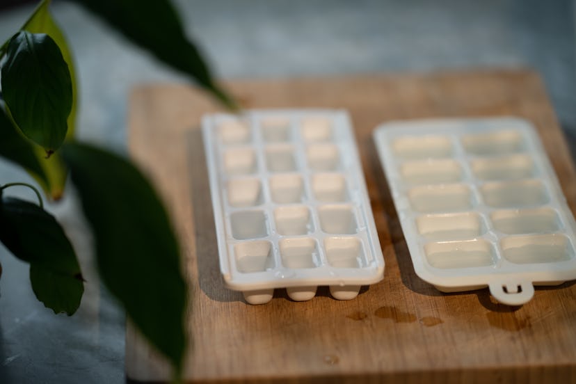 Silicone ice cube hold filled with water. Wooden board. Out of focus plant in foreground.