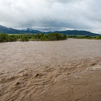 Rain and snow melt from surrounding mountains cause high flow in Yellowstone River, increasing its v...