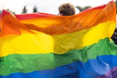 站在骄傲旗后面的泛性恋者,红色代表生命,橙色代表治愈,黄色代表阳光……