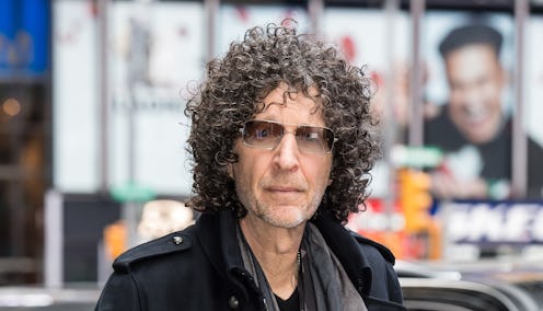 NEW YORK, NY - MAY 09:  Radio and television personality Howard Stern is seen arriving to the ABC st...