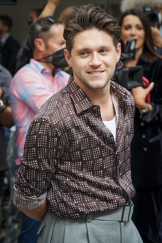 Niall Horan attended Harry Styles' June 19 concert at Wembley Stadium.