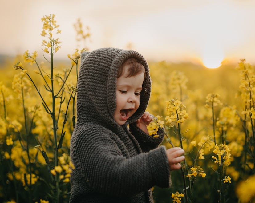 A horizontal portrait of a cute toddler girl in a knitted gray coat standing in high grass in a yell...