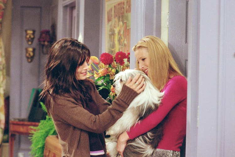 Courteney Cox Arquette as Monica Geller and Lisa Kudrow as Phoebe Buffay star in NBC's comedy series...