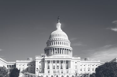 照片摄于华盛顿特区。、美国