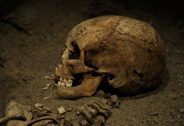 Viking Age. Birka girl. Died at age 6 years. 10th century. Skeleton. Skull. Historical Museum. Stock...