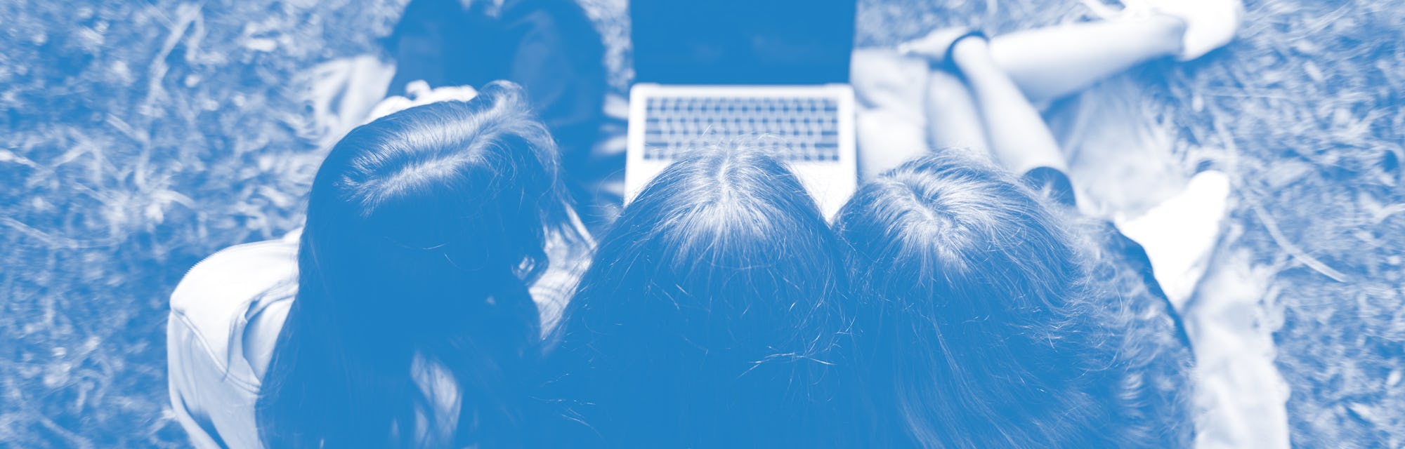 A group of teenagers use a laptop for online learning or homework in nature on a sunny day.