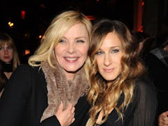 Sarah Jessica Parker and Kim Cattrall starred in 'Sex and the City' together