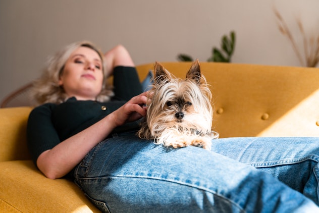 Woman with dog on a couch tired after eating sugar, which might mean she has a sugar intolerance