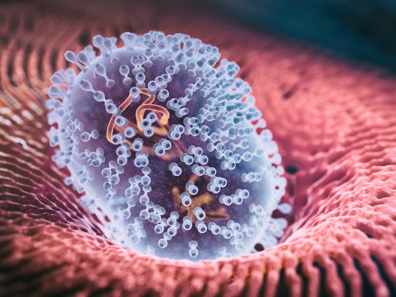Viral Infection Monkeypox Virus - 3d rendered image. Abstract biomedical illustration.
Antibody, A...