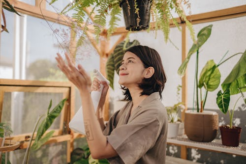 Happy woman working in greenhouse. Your guide to earth signs; earth sign guide.