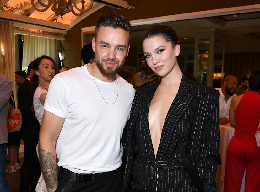 Liam Payne's ex Maya Henry shaded him in a TikTok video after their breakup.