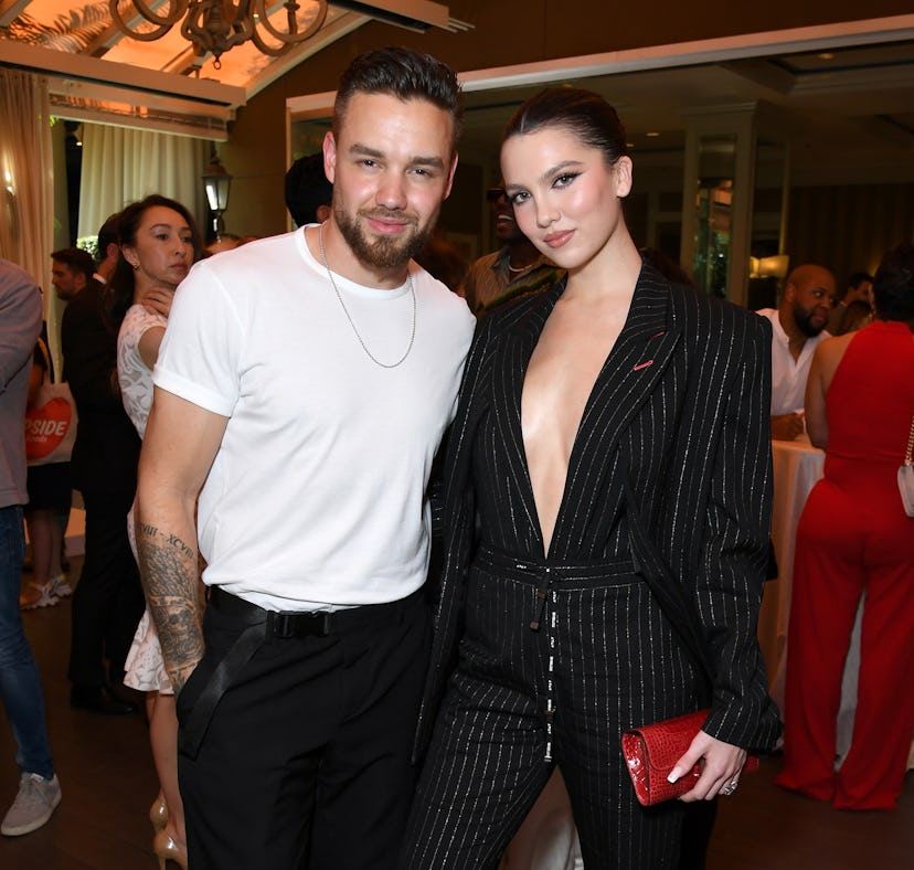 Liam Payne's ex Maya Henry shaded him in a TikTok video after their breakup.