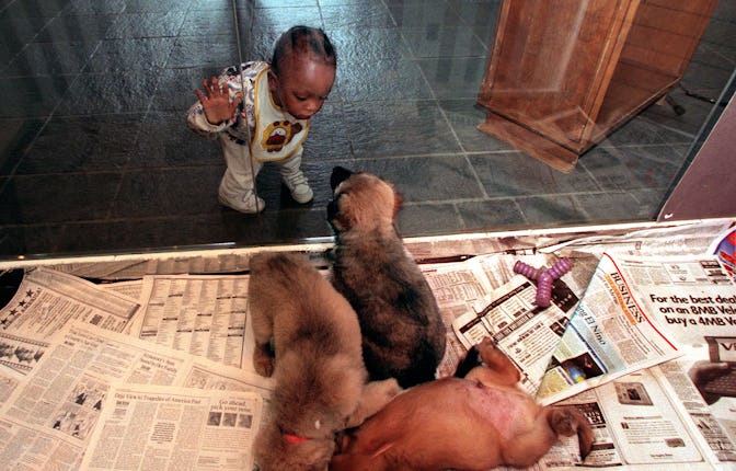 ME.puppies.2.kl.4/22/98LOS ANGELES Eighteenmonth old Walter Griffin of Los Angeles and his 18m...