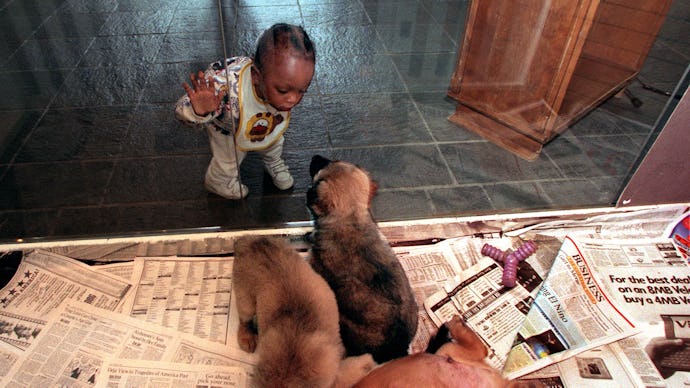 ME.puppies.2.kl.4/22/98LOS ANGELES Eighteenmonth old Walter Griffin of Los Angeles and his 18m...