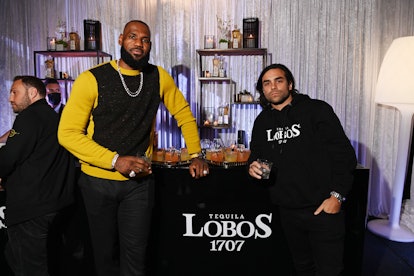 TORONTO, ONTARIO - MARCH 21: In this image released on March 21, LeBron James (L) and Diego Osorio a...