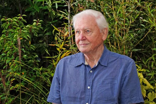 Sir David Attenborough attends the premiere of Green Planet at the Glasgow IMAX cinema in the Green ...