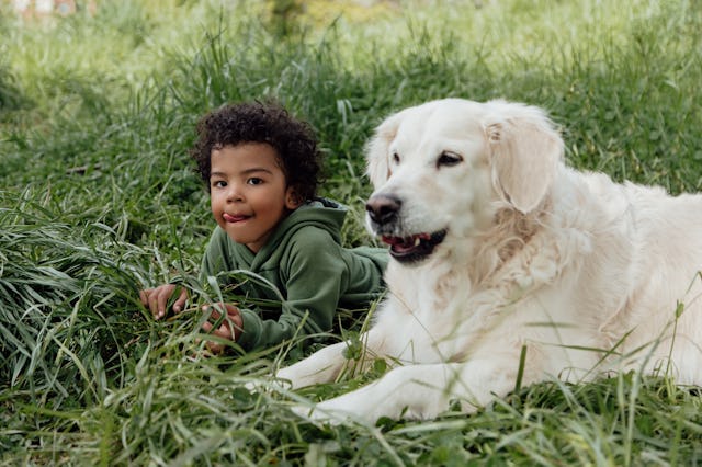 Although it may seem cute when your dog "guards" your child, it could indicate behavioral issues in ...
