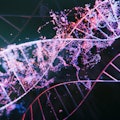 DNA strands - 3d images of dna molecules on black background, science nanotechnology, medical concep...