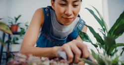 Close up of young woman caring for cleaning leaves in the morning. Here's your july 13 zodiac sign d...