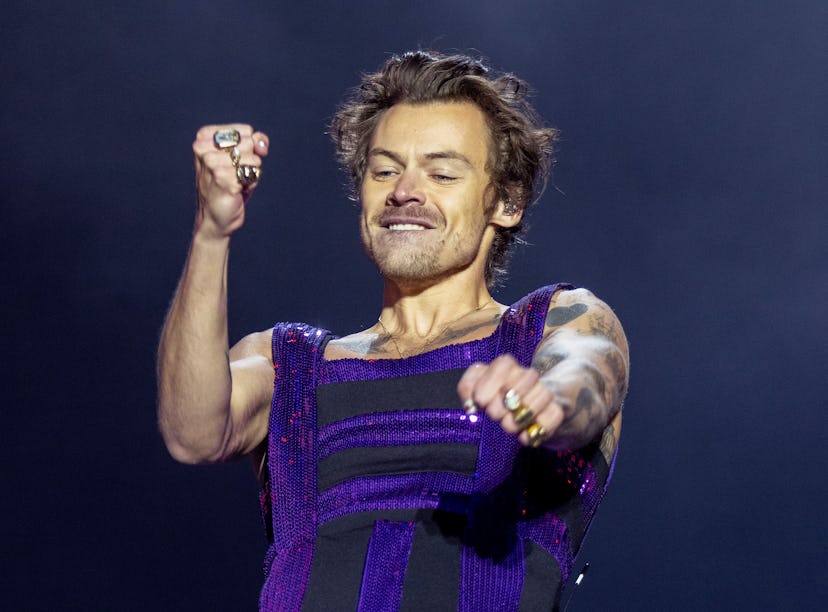 Harry Styles is rumored to be an upcoming guest on the YouTube series 'Hot Ones.'