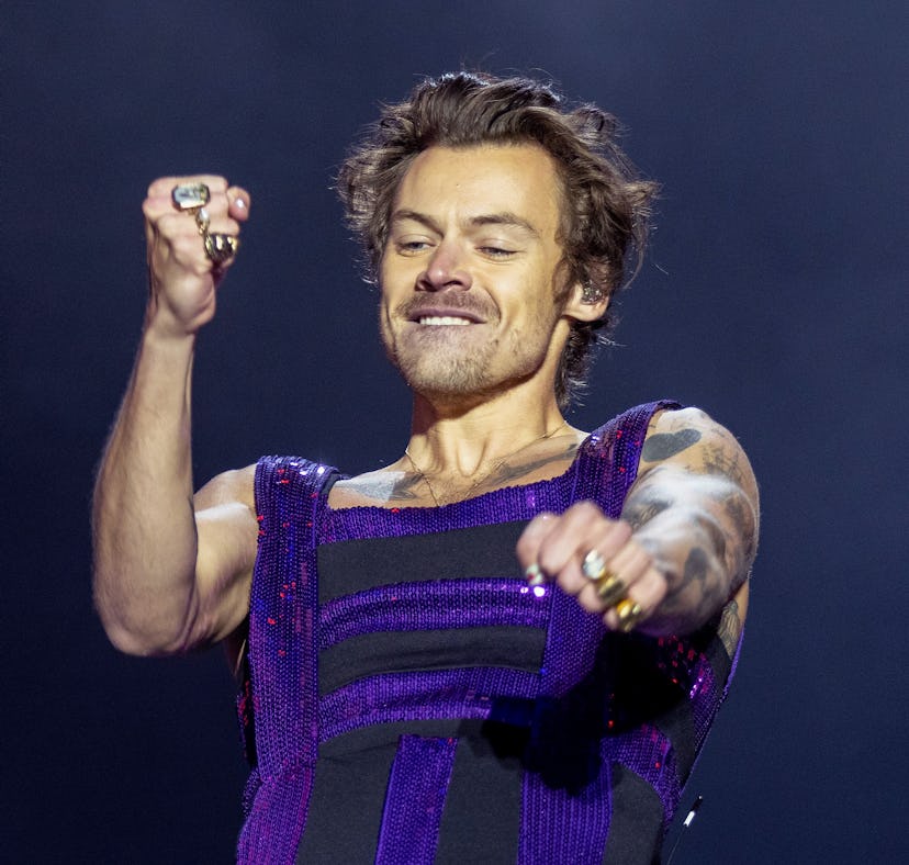 Harry Styles is rumored to be an upcoming guest on the YouTube series 'Hot Ones.'