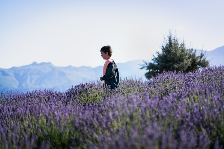 Boy with ADHD in lavender field.