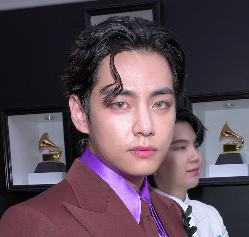 BTS' V will star in the upcoming reality series 'In The Soop: Friendcation.'