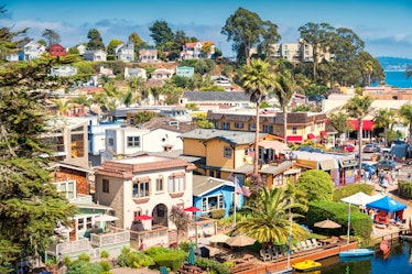 Santa Cruz is one of the most walkable cities to visit in California to visit, based on its walk sco...