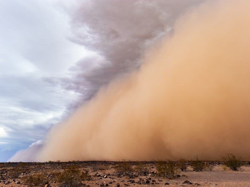 Photo taken in Phoenix, United States