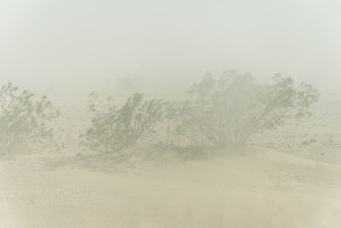 DEATH VALLEY, PANAMINT SPRINGS, CA, UNITED STATES - 2016/06/15: A dust storm with no visibility clos...