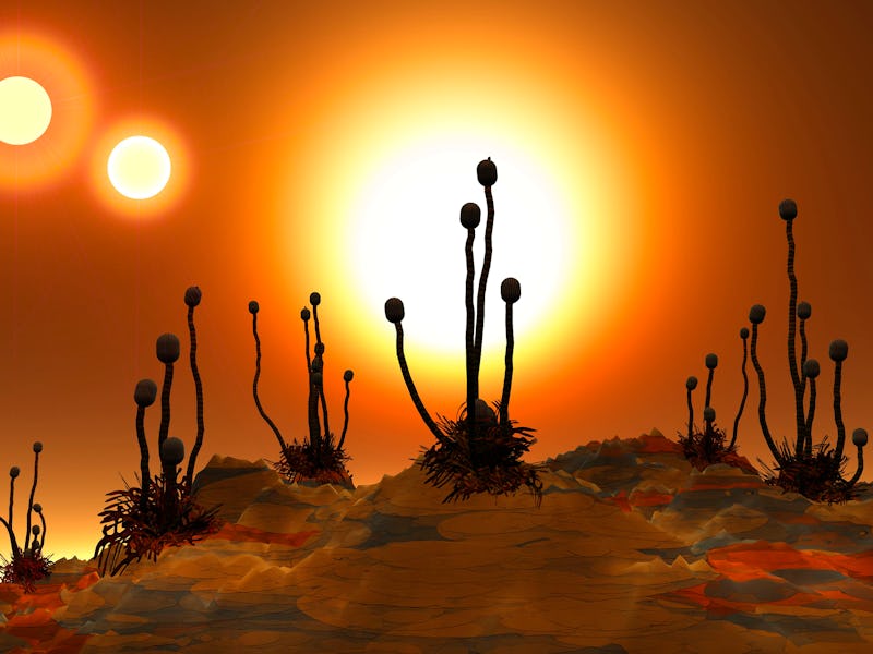 Planet Proxima B, In Orbit Around Proxima Centauri, A Red Dwarf Star.