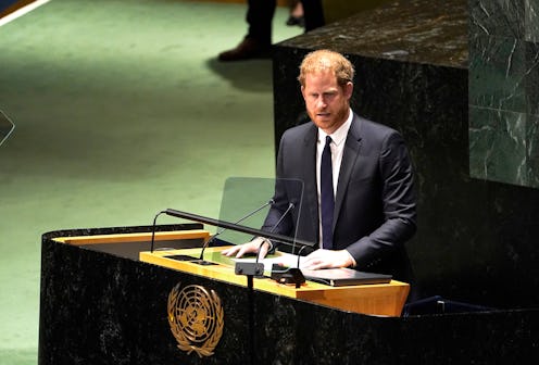NEW YORK, NEW YORK - JULY 18: Prince Harry, the Duke of Sussex delivers remarks to the General Assem...