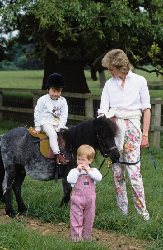 Prince Harry's 2022 speech for Princess Diana's birthday mentioned his kids.